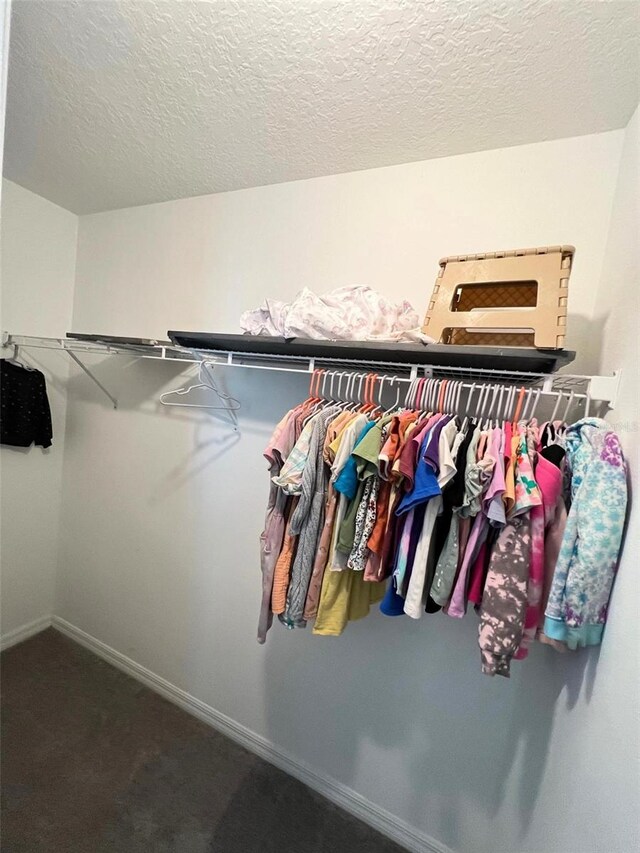 spacious closet featuring carpet floors