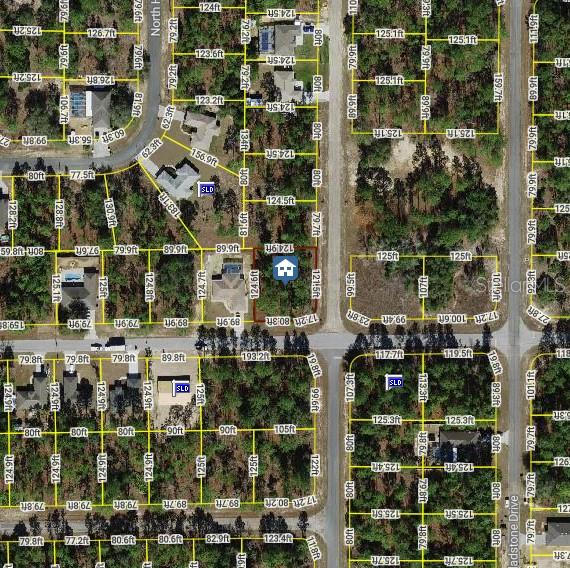 970 W Glenhaven Dr, Citrus Springs FL, 34434 land for sale