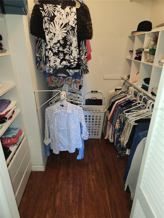 spacious closet featuring dark hardwood / wood-style floors