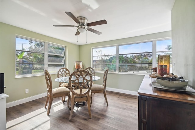 dining space featuring light wood-type flooring and ceiling fan