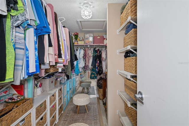 8141 Aquila St Unit 347, Port Richey, FL 34668 - spacious closet featuring attic access
