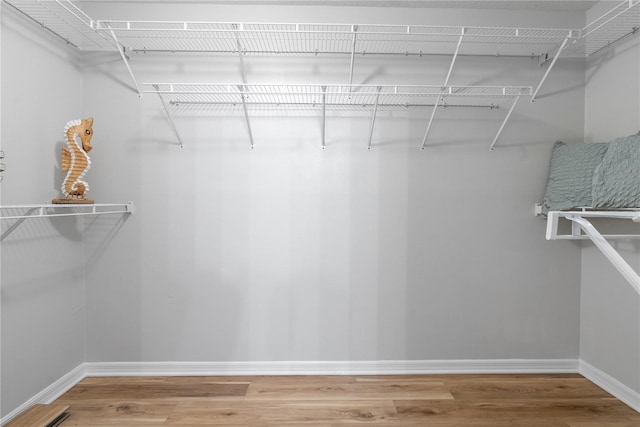 walk in closet featuring hardwood / wood-style floors