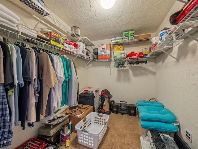 spacious closet featuring carpet flooring