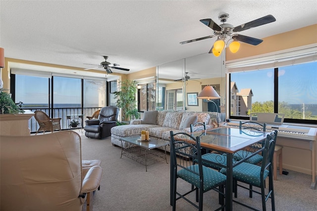 4620 Bay Blvd Unit 1148, Port Richey, FL 34668 - living area with ceiling fan, carpet flooring, and a textured ceiling
