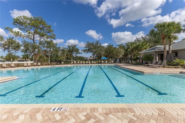 view of pool featuring a patio