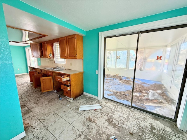 kitchen with a healthy amount of sunlight and sink