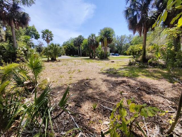 174 Avery Avenue 21 & 1, Crystal Beach, FL 34681 - photo 5