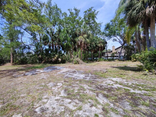 174 Avery Avenue 21 & 1, Crystal Beach, FL 34681 - photo 9