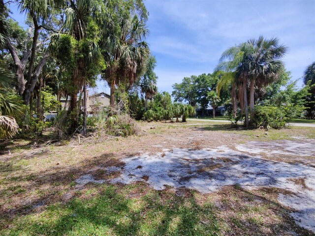 174 Avery Avenue 21 & 1, Crystal Beach, FL 34681 - photo 10