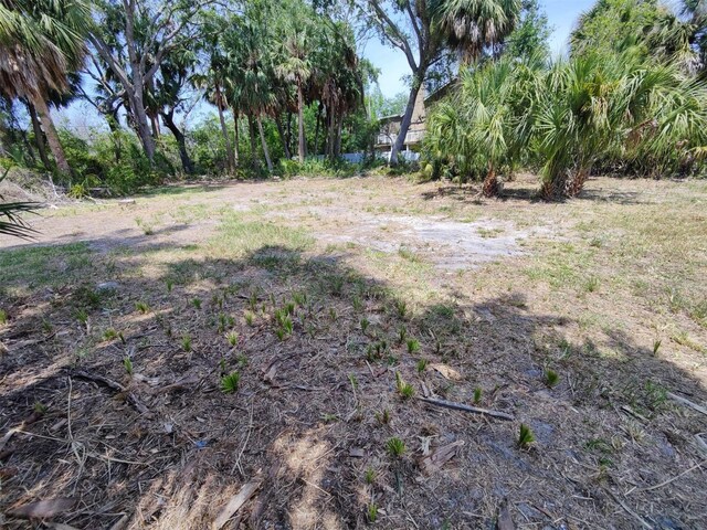 174 Avery Avenue 21 & 1, Crystal Beach, FL 34681 - photo 12
