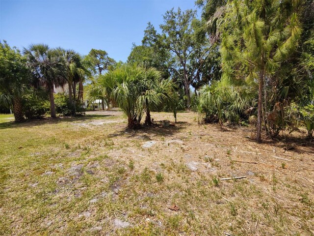 174 Avery Avenue 21 & 1, Crystal Beach, FL 34681 - photo 14