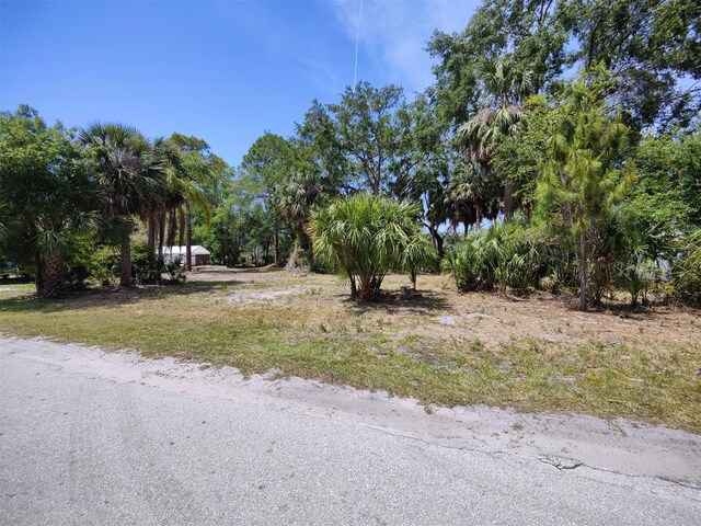 174 Avery Avenue 21 & 1, Crystal Beach, FL 34681 - photo 15