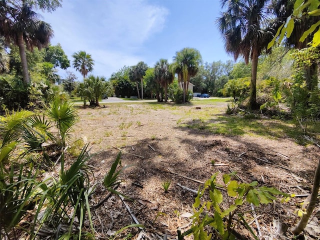 174 Avery Ave Unit 20 & 2, Crystal Beach, FL 34681