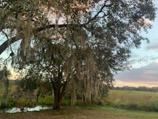 view of nature at dusk