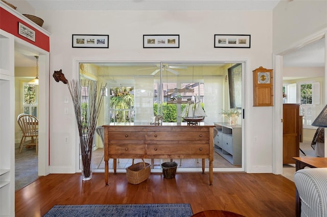 interior space with hardwood / wood-style flooring and ceiling fan