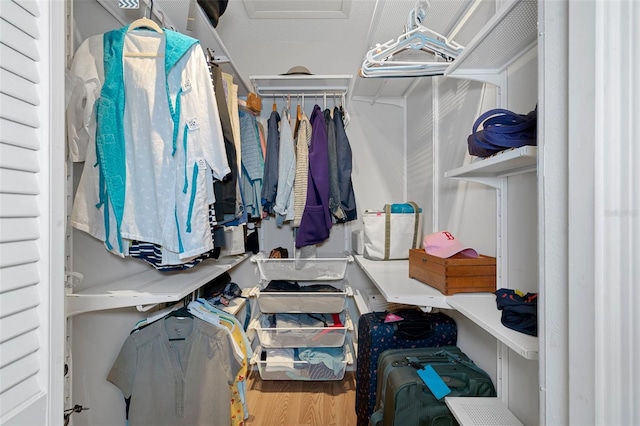 spacious closet featuring wood-type flooring