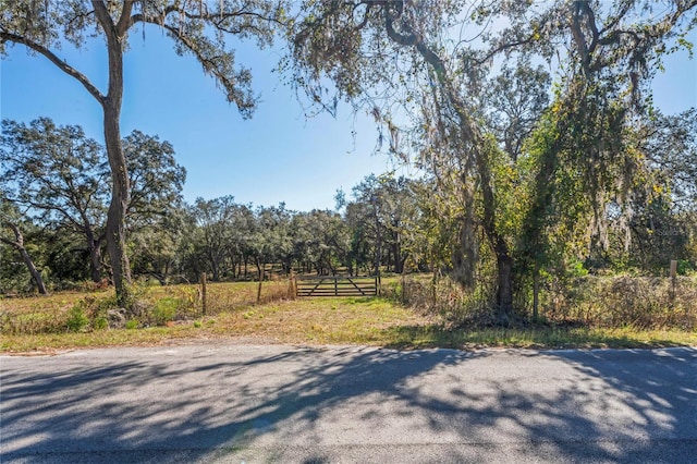 16900 Akins Dr, Spring Hill FL, 34610 land for sale