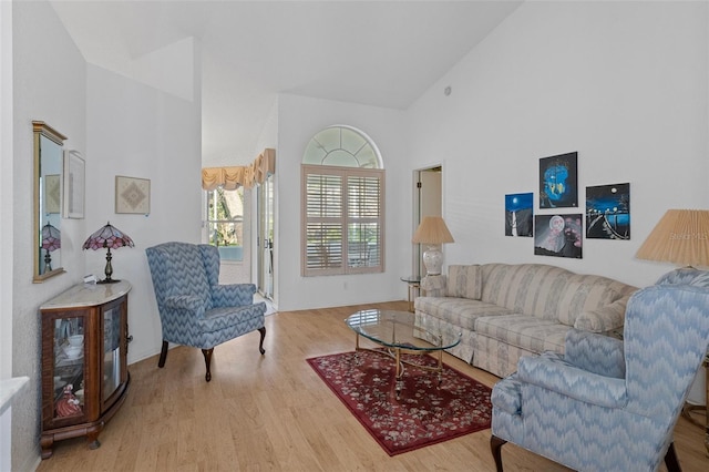 living room with hardwood / wood-style flooring and high vaulted ceiling