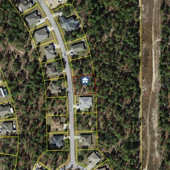 22 Tall Marigolds Ct, Homosassa FL, 34446 land for sale