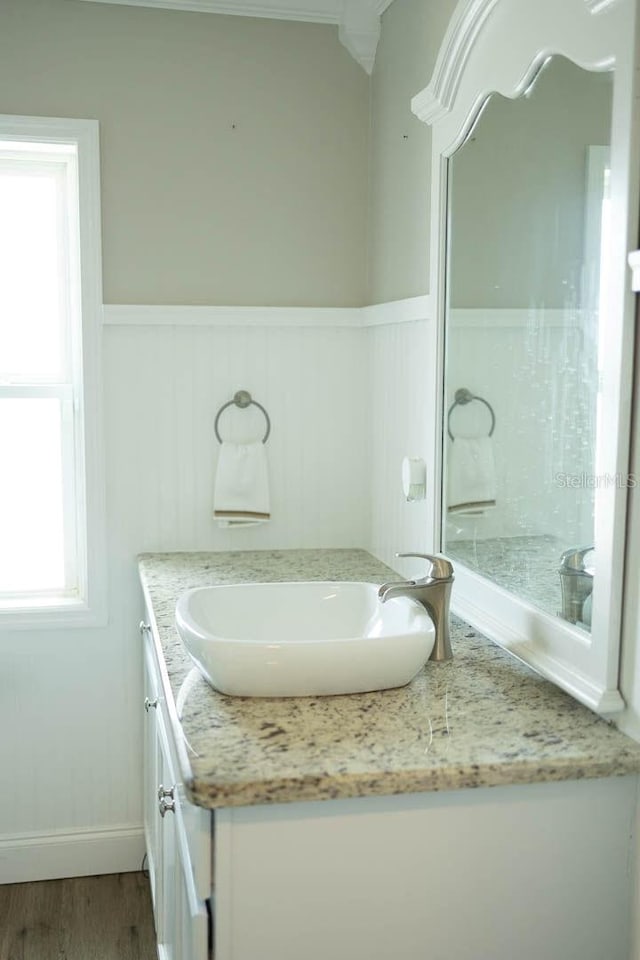 bathroom featuring hardwood / wood-style flooring and vanity