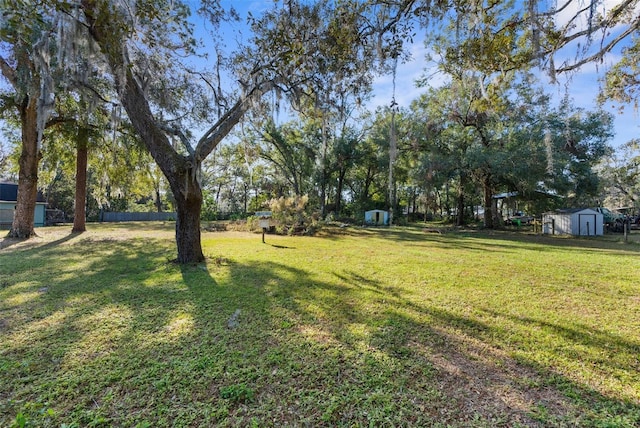 view of yard with a storage shed