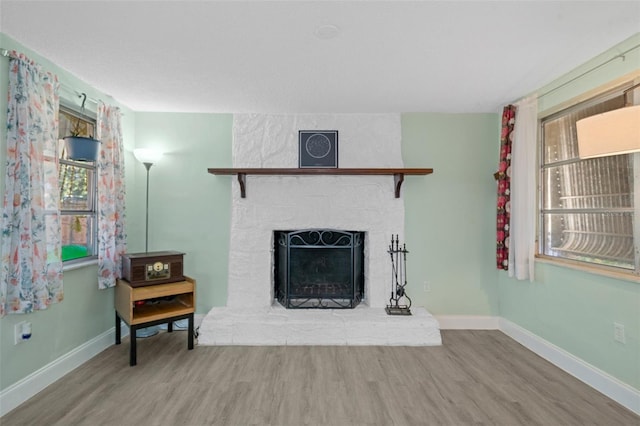 living room featuring a fireplace and wood-type flooring