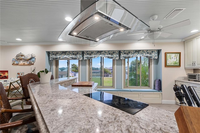 kitchen with hardwood / wood-style floors, light stone counters, and crown molding