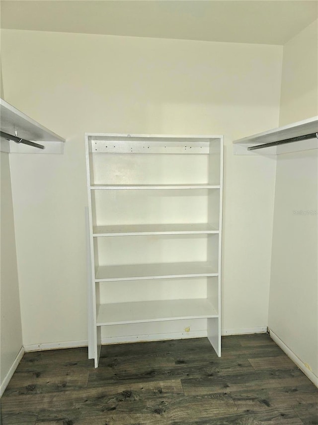 walk in closet featuring dark hardwood / wood-style floors