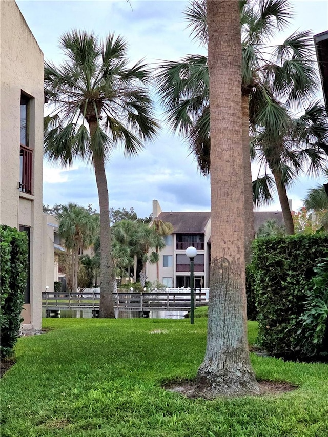 view of community with a yard