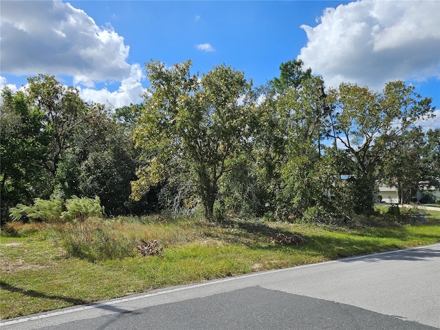 89 Cypress Blvd E, Homosassa FL, 34446 land for sale