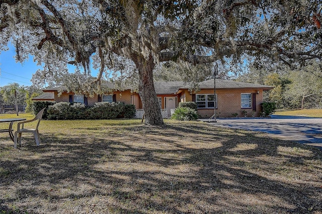 ranch-style house featuring a front yard