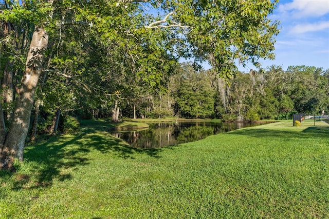 view of yard featuring a water view and a wooded view