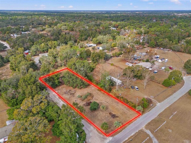 18019 Good Hope Ln, Spring Hill, FL 34610 - photo 4