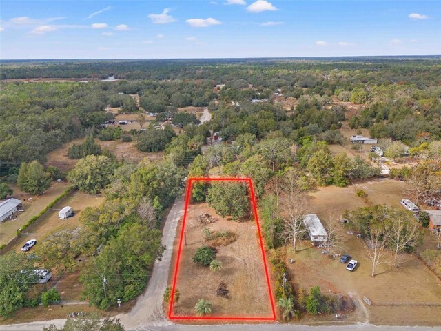 18019 Good Hope Ln, Spring Hill, FL 34610 - photo 6