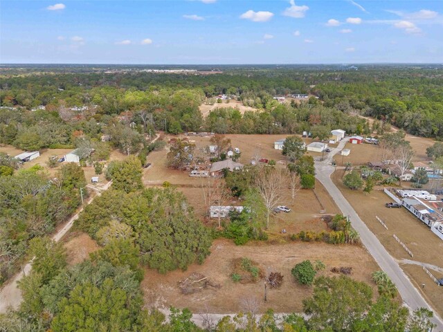 18019 Good Hope Ln, Spring Hill, FL 34610 - photo 11