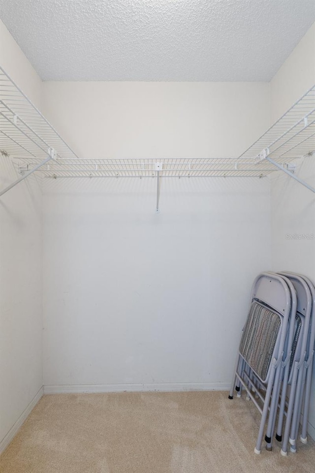 spacious closet featuring light colored carpet