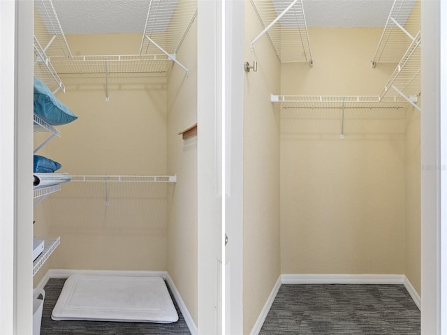 spacious closet with carpet floors