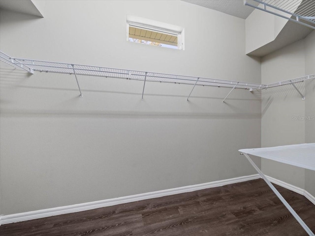 walk in closet featuring dark hardwood / wood-style floors