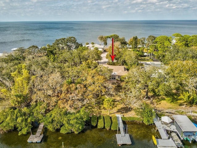 bird's eye view featuring a water view