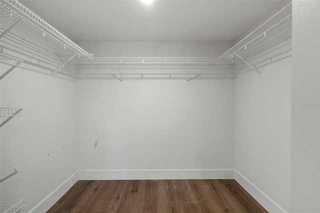 walk in closet with dark wood-type flooring