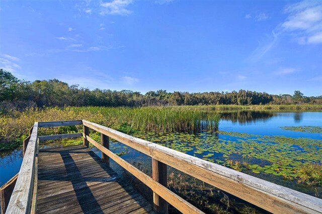 dock area with a water view