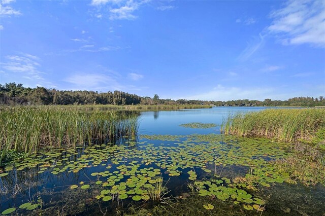 2210 Utopian Dr E Unit 212, Clearwater, FL 33763 - photo 37