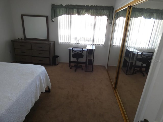 carpeted bedroom with a closet