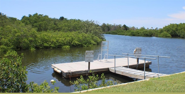 dock area with a water view