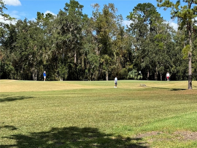 view of property's community featuring a yard