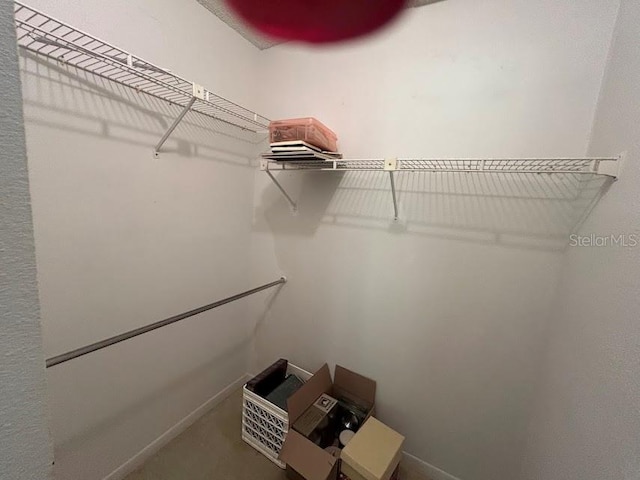 view of spacious closet