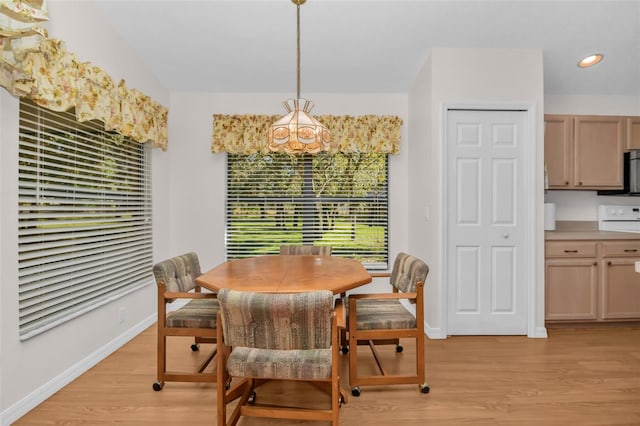 dining space featuring light wood-type flooring and plenty of natural light