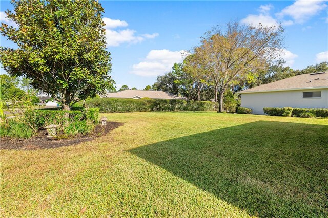 4201 Silver Berry Ct, Spring Hill, FL 34609 - view of grassy yard
