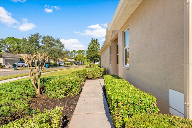 4201 Silver Berry Ct, Spring Hill, FL 34609 - view of yard