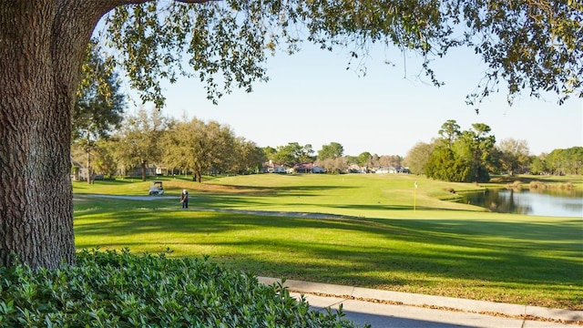 view of community with a water view and a lawn